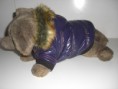 Hunde Wintermantel ´Extreme´ Dunkelviolett